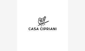 Corporate sponsor